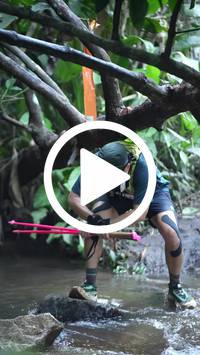 BIB:  <button type="button" onclick="openModal(27239558)" class="btn btn-primary btn-sm float-right" data-toggle="modal" data-target=".modal-high-quality">
                <i class="fa fa-download"></i> Download
                </button>